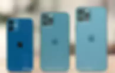 iPhone 12 Mini, iPhone 12 Pro, iPhone 12 Pro Max