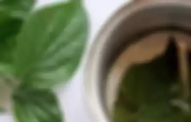 Khasiat air rebusan daun sirih untuk kesehatan