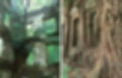 Tampilannya Menyeramkan, Rumah Berhantu di Taiwan Ini Dijual Seharga Rp6,4 Miliar, Memang Apa Istimewanya?