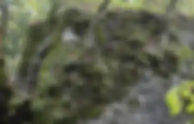Punya Kemampuan Hebat dalam Bersembunyi, Bisakah Anda Temukan Pasukan Khusus Inggris dalam Foto Berikut?