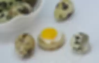 Ilustrasi telur puyuh