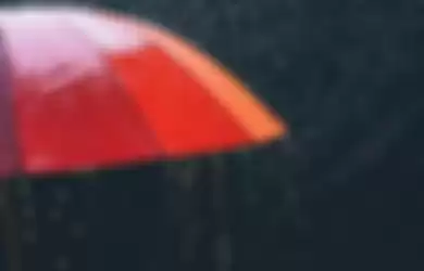 Ilustrasi payung dan musim hujan