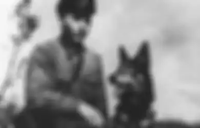 5 Senjata Paling Aneh Perang Dunia II, Ada Anjing Bom Bunuh Diri yang Dibiarkan Kelaparan dan Dilepaskan ke Tank Soviet!
