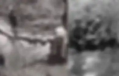 Bikin Tentara Koalisi Saling Tembak Sendiri, Inilah Dong Thap Moui, Kawasan yang Jadi 'Senjata Pusaka' Vietnam dalam Berbagai Perang
