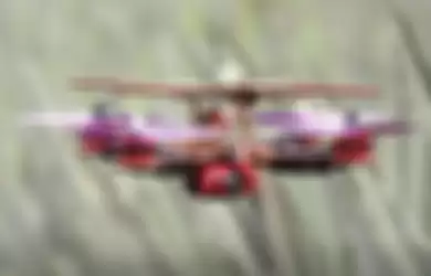 Bentuk drone yang terbuat dari serat buah nanas.