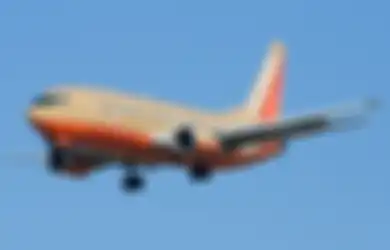 Masih Gunakan Pesawat Jenis Lama Boeing 737, Maskapai Penerbangan Indonesia Ini Akan Diperiksa oleh Kemenhub, Maskapai Apa Saja yang Kena?