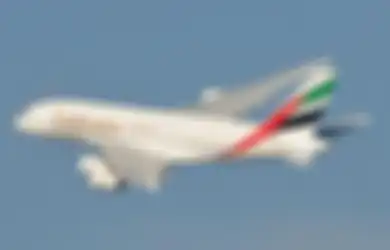 Dihukum karena Tolak Terbangkan Pesawat ke Israel, Pilot Maskapai UEA: Tuhan Menjaga Saya, Saya Tidak Menyesalinya