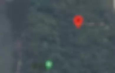 Heboh Tanda SOS di Pulau Laki Dekat Jatuhnya Sriwijaya Air SJ 182, Basarnas Bakal Lakukan Ini