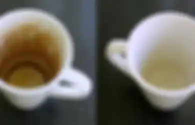 Hobi  Minum Kopi dan Teh Bikin Bagian Dalam Cangkir Berubah Warna, Gunakan Saja Baking Soda untuk  Hilangkan Noda, Begini Caranya!