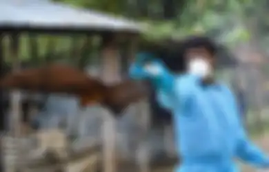 Diprediksi Kuat Jadi Pandemi Berikutnya Pengganti Virus Corona, Ilmuwan Sebut Kkhawatir Virus Nipah Semakin Mudah menyebar, 'Mereka Menyebar Seperti Api'