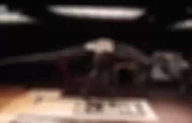Kerangka T-Rex Dijual Seharga Rp442 miliar, Pecahkan Rekor Dunia Baru
