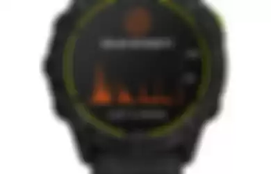 Garmin Enduro Smartwatch