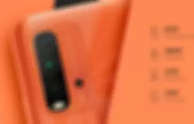 Kamera belakang Redmi 9T versi global