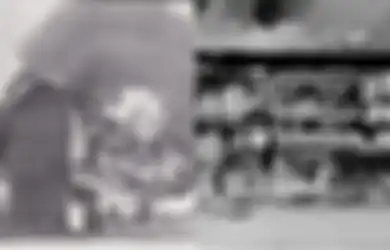 Disebut Lebih Mengerikan dari Bom Atom, Inilah Napalm, Gel Pembakar yang Digunakan AS untuk Menghancurkan Tokyo dan Membuat 100.000 Warga Sipil Tewas