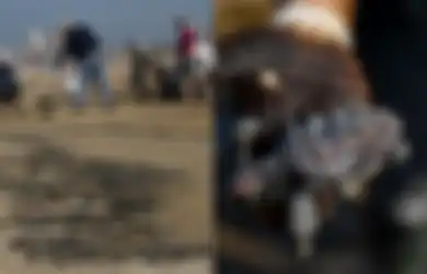 Polusi Besar-besaran Akibat Tumpahan Minyak di Pantai Israel Hancurkan Kehidupan Laut, Ada Tuduhan Israel yang Disangkal Yunani, Apa yang Terjadi?