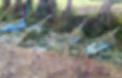 Perang Antar Suku Masih Jadi Cara Pemecahan Masalah di Kehidupan Modern Negara Tetangga Ini, Mayat-mayat Bergelimpangan di Jalanan Sudah Jadi Pertunjukan Biasa