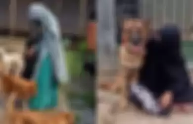 Hesti Sutrisno, Wanita Bercadar Pelihara 70 Anjing Liar, Jualan Keripik untuk Perawatan Hewan-Hewan Peliharaannya