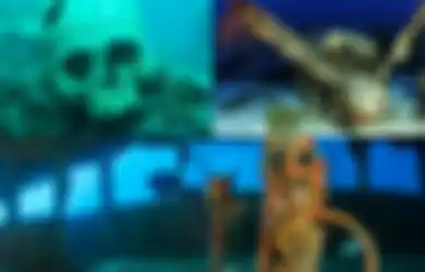 Jadi Tantangan Tersendiri, Menyelam Saksikan Kuburan Pesawat Pembom Perang Dunia II yang Ditemukan Setelah 76 Tahun di Truk Lagoon dengan Bom dan Ranjau yang Masih Aktif