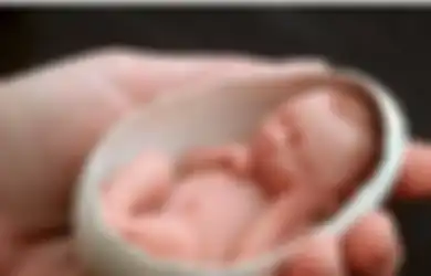 Dilahirkan Sebagai Bayi Terkecil di Dunia, Hingga Bisa Diletakkan Dalam Telur Ayam, Siapa Sangka Penampilan Bayi Mungil Ini Setelah Dewasa Bikin Pangling Banyak Orang