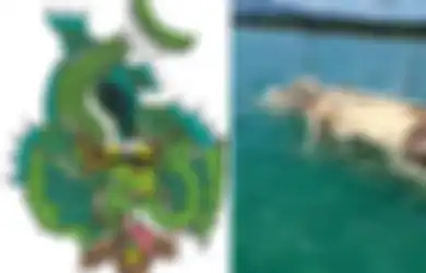 Jadi Simbol Kekuatan Mahadahsyat Raja Lautan, 'Bangkai' Gajah Mina Tiba-tiba Menyeruak di Laut Natuna, LIPI Beri Penjelasan