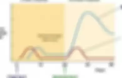 Grafik munculnya antibodi di hari 0 vaksinasi