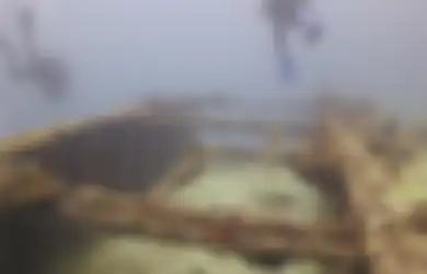 Bangkai Kapal Tanker Sisa Perang Dunia II Ini Ditemukan di Lepas Pantai Hawaii Jadi Rumah Bagi Banyak Spesies Tumbuhan dan Hewan
