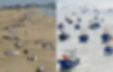 Viral Ribuan Ikan Mati di Pinggir Pantai, Warga Iran Ngamuk Sama Nelayan China Gegara Berani Obok-obok Lautnya, Klaim Negaranya Sudah Jatuh Dalam Cengkeraman Komunis China!