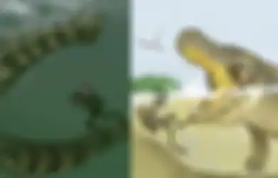 Monster Leluhur Buaya Sepanjang 9 Meter Terungkap Menjelajahi Wilayah Ini 130 Juta Tahun yang Lalu, Gigitannya yang Kuat Diperkirakan Mampu Membunuh Dinosaurus