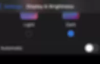 Pengaturan dark mode pada iOS.
