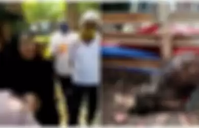 (Kiri) tangkap layar video tuduhan Ibu Wati ke tetangganya dan (Kanan) foto babi yang diamankan warga di Sawangan Depok.  