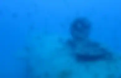 Tak Hanya Harta Karun yang Ditemukan di Bangkai Kapal Bawah Laut, Nyatanya Makhluk Mikro Ini Telah Tumbuh Terlebih Dahulu Demi Kita Bisa Lihat Sesuatu yang Lebih Indah