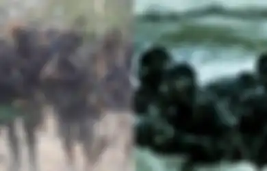 Kabarnya Pasukan Khusus Indonesia TNI AL Denjaka Turun Gunung Tumpas KKB Papua, Bantu Pasukan Setan TNI, Ini Keterangan TNI AL, Kadispen Komar: 'Itu Kan Pasukan Elite'