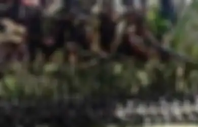 KKB Papua Makin Tak Bisa Menyelamatkan Diri, Pasukan Setan Sudah Diturunkan untuk Berantas Pemberontakan Mereka