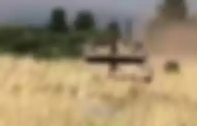 Dikenal sebagai Militer yang Brutal dan Tak Kenal Ampun, Nyatanya Militer Israel Bersikap Segan Ketika Bertemu Militer Indonesia, Inilah Video Momen TNI Bertemu Militer Israel