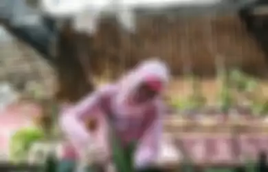 Terpidana kasus korupsi, Angelina Sondakh tengah merawat tanaman anggrek di Lembaga Pemasyarakatan (Lapas) Perempuan Kelas IIA Pondok Bambu, Jakarta Timur, Jumat (17/7/2020). Selama berada didalam Lapas Pondok Bambu, Angelina Sondakh mengisi waktu kosong dengan menanam sayuran hidroponik dan membaca