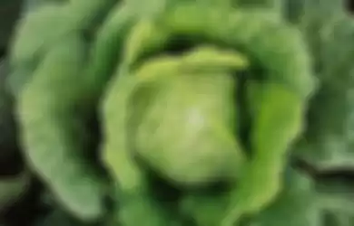Sayur Kale