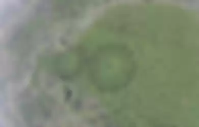 Hutan cedar dengan pola mirip crop circle di Prefektur Miyazaki, Jepang.