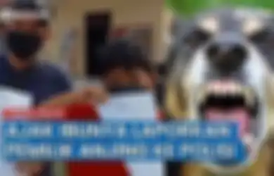 Sok-sokan Tantang Keluarga Korban hingga Mengaku Tidak Takut dengan Bobby Nasution, Nyatanya Pemilik Anjing yang Anjingnya Gigit Bocah 10 Tahun hingga Tewas Mendadak Kabur  