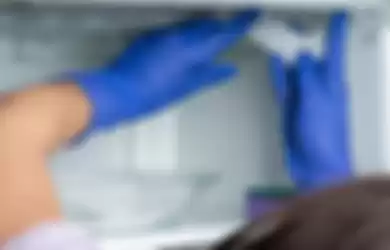 Cara mudah bersihkan bunga es freezer