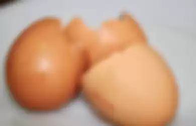 Cangkang telur 