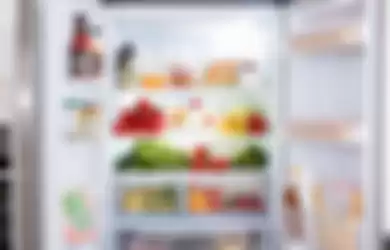 Makanan dalam kulkas