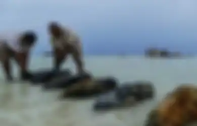 Inilah Operasi Paling Berbahaya di Dunia; Temukan ‘Harta Karun’ Berbeda, Bersihkan Sisa-sisa Bom Perang Dunia II yang Tidak Meledak di Lautan Pasifik
