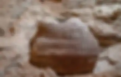 Misteri Keranjang Besar Berusia 10.500 Ini adalah Bagian dari Penemuan Luar Biasa di 'Gua Horor' Israel di Gurun Yudea
