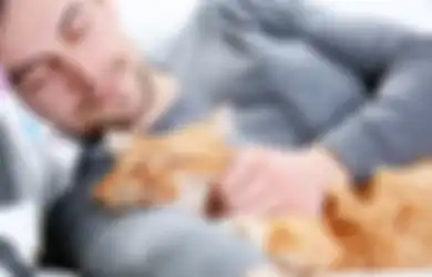 Waspada, Kucing dan Anjing pun Bisa Tertular Covid-19 dari Pemiliknya yang Terinfeksi, dengan Tingkat Penularan yang Sangat Tinggi, Menurut Penelitian