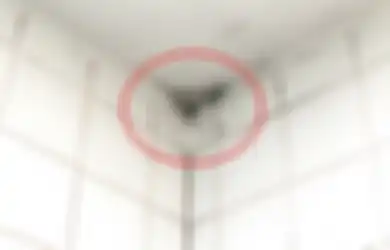 Tak Susah Bikin Kamar Mandi Jadi Terasa Nyaman, Coba Saja Hilangkan Jamur dengan 4 Cara Alami dan Ampuh Ini!