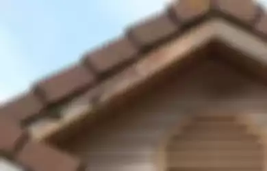 Ilustrasi serangan rayap pada elemen atap rumah. 