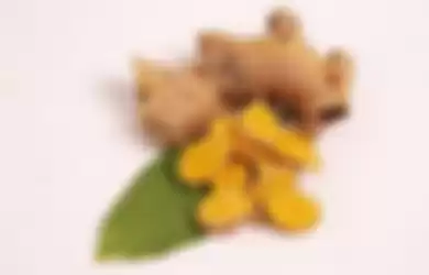 Ilustrasi temu mangga. Berikut 6 jenis tanaman herbal yang menurut ahli ampuh menangkal virus Corona. 