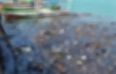 Saat PPKM Level 4 diperpanjang, laut Kepulauan Seribu makin penuh sampah. Foto buktinya viral di media sosial.