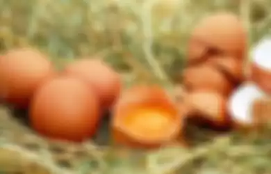 Ilustrasi - Arti mimpi melihat telur pecah ternyata pertanda kurang baik.