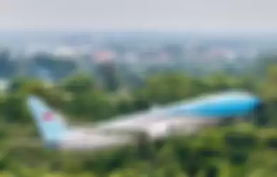 Foto perbedaan cat pesawat kepresidenan RI yang sudah berubah viral di media sosial. 
